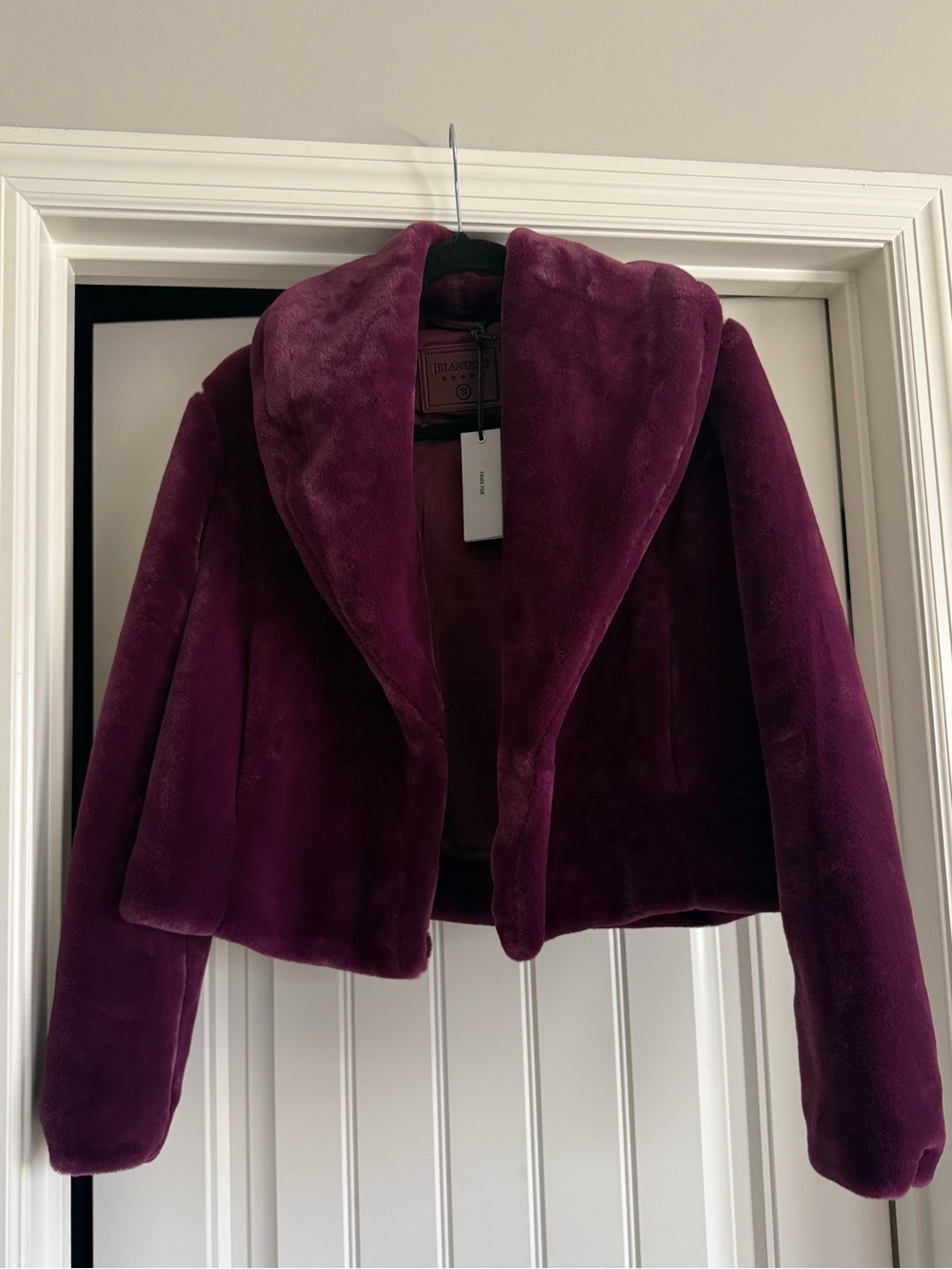 BlankNYC Faux Fur Cropped Jacket in Dry Martini